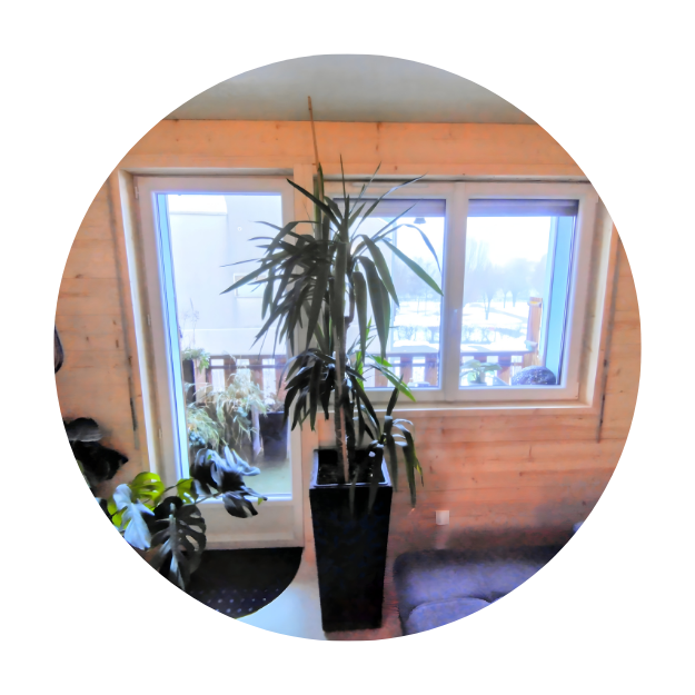 Sarl Le Virolo Cuvier